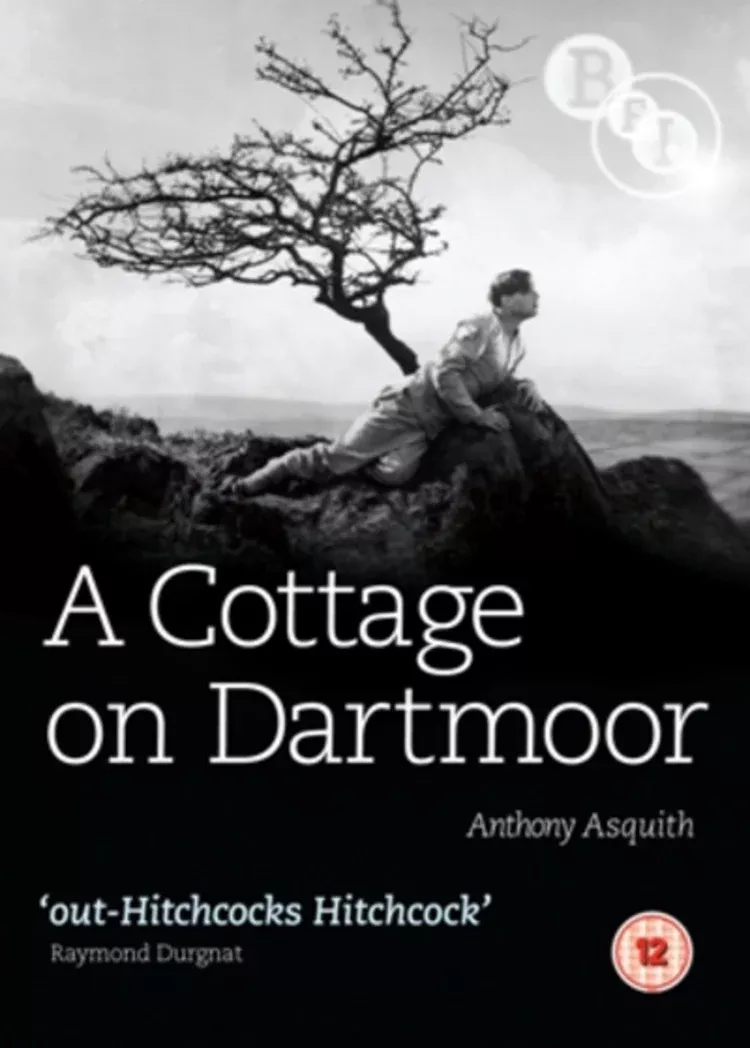 A Cottage On Dartmoor