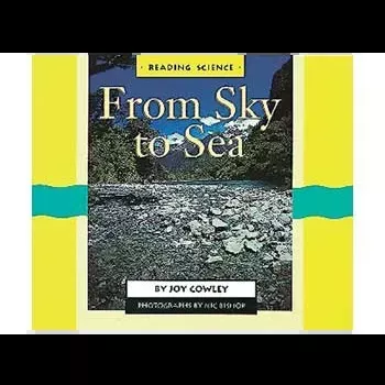 From Sky To Sea