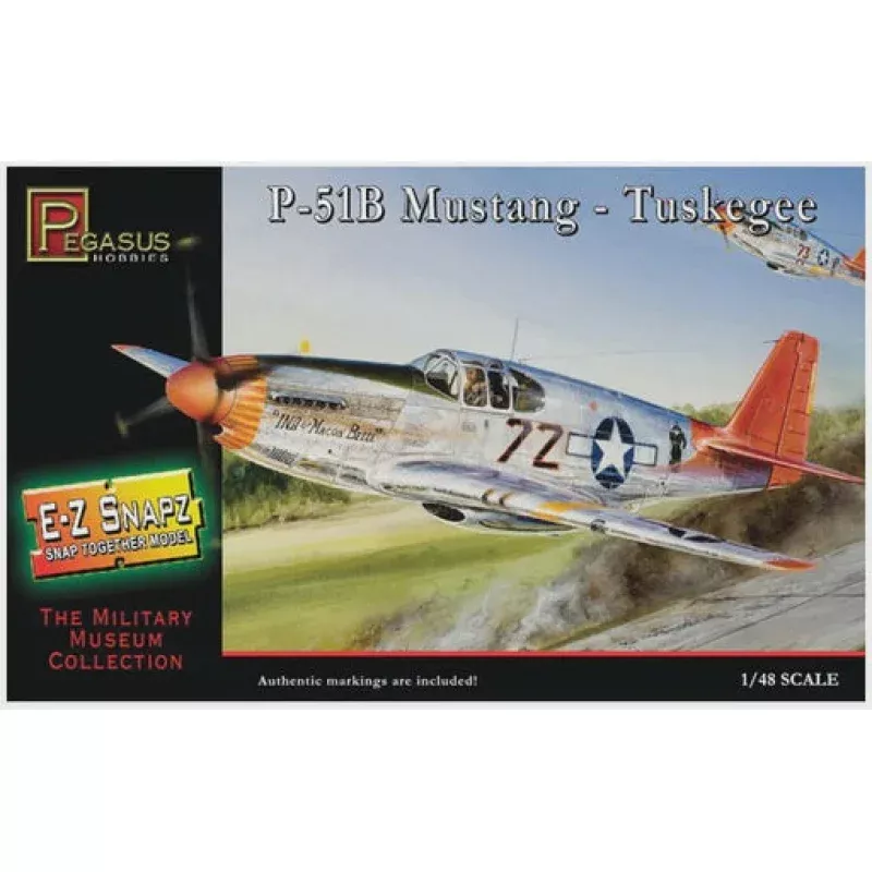 Pegasus 1/48 Messerschmitt Bf-109G6
